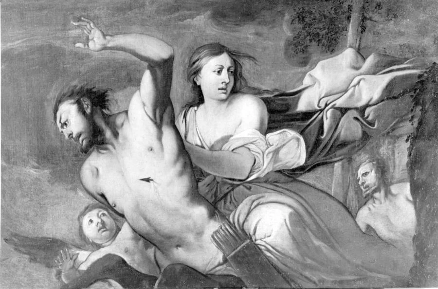 Ratto di Deianira - Vicenza, Pinacoteca Civica